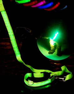 LED glowing dog collar detail, bright neon green nylon material with USB rechargeable lights.