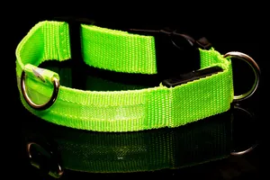 Bright green LED dog collar with USB charging, nylon mesh and metal D-ring for safe night walks.