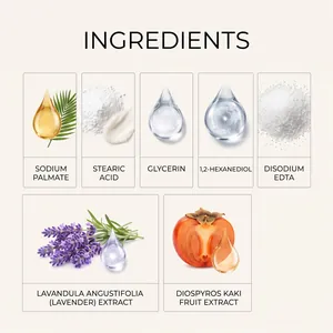 Skincare soap main ingredients list with botanical extracts detailed macro illustrations