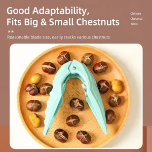 Multifunctional chestnut opener tool with light green handle on a plate of roasted nuts