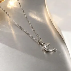 Primer plano de un colgante de delfín en acero inoxidable con una fina cadena de eslabones.