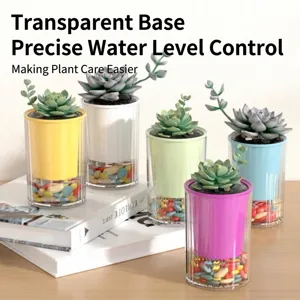 Kleurrijke zelfwatergevende plastic bloempotten met transparante basis voor vetplanten