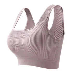 High-stretch ribbed sports bra crop top with padding for fitness and yoga activities