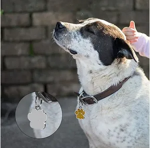 Detail of glitter paw print dog tag showing both sides on a pet