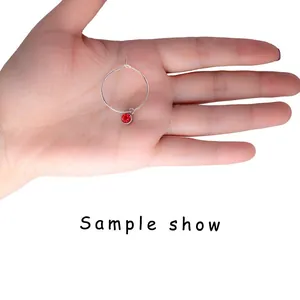 Detailed macro view of small silver hoop with red rhinestone charm held in a person's palm