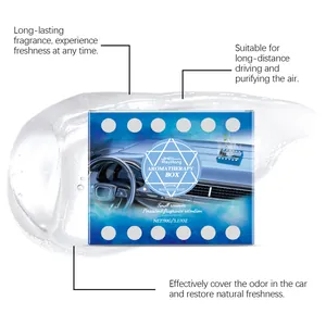 Scatola per aromaterapia RayHong per auto con gel blu e funzioni di purificazione