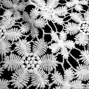 Primo piano di pizzo bianco idrosolubile con eleganti ricami floreali in seta di latte.