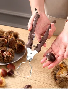 Detail view of a manual chestnut opener tool showing usage for peeling fresh brown chestnuts