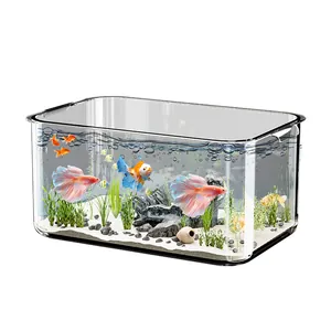Großes transparentes Acryl-Aquarium für den Schreibtisch mit schöner Dekoration