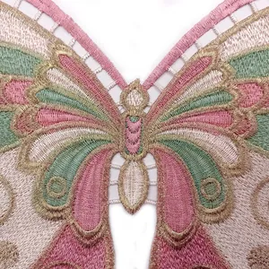 Close-up of colorful butterfly collar with intricate gold thread embroidery and lace