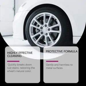 Dettaglio infografica di un cerchio auto pulito che mostra i vantaggi dell'antiruggine