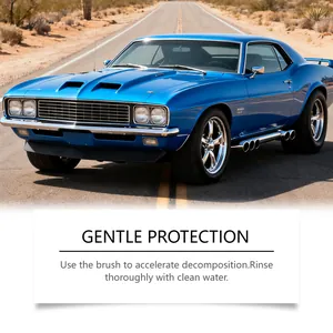 Instructional detail guide for car rust remover featuring a classic blue muscle car