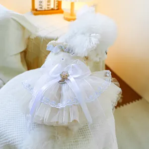 Detailansicht eines süßen Welpen im weißen Tüllkleid mit großer Schleife und Perlendekor.
