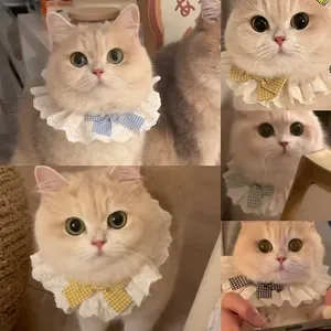 Joli collier en dentelle pour chat avec nœud, bavoir décoratif pour petits chiens et chats.