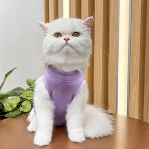 Detailed view of a cute white cat wearing a soft purple post-surgery pet vest, indoor scene.