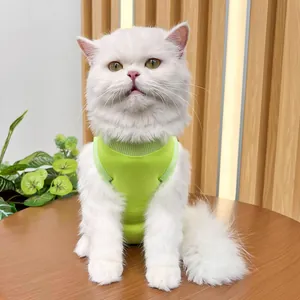 Close-up detail view of a white cat wearing a soft green pet post-surgery recovery suit.