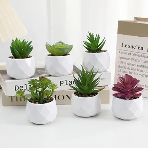 Ensemble de plantes succulentes artificielles avec pots blancs en diamants pour decor