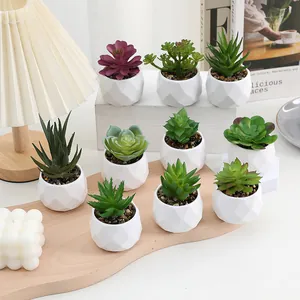 Plante Succulente Artificielle en Pot Verdure Simulée en Pot Plastique Diamant Blanc Décor Bureau Maison