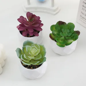 Plantes succulentes artificielles en pots géométriques blancs décoration maison 3pcs