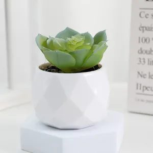 Artificial succulent potted plant with white geometric pot for home and desktop decoration.