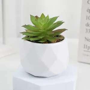 Artificial succulent potted plant in a white geometric plastic pot for home decor
