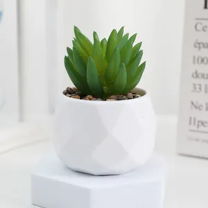 Artificial succulent potted plant with white geometric pot for home and desk decor.