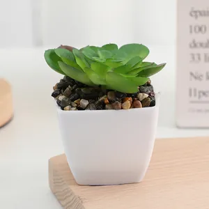 Artificial mini succulent potted plant plastic green plant for home desktop decoration