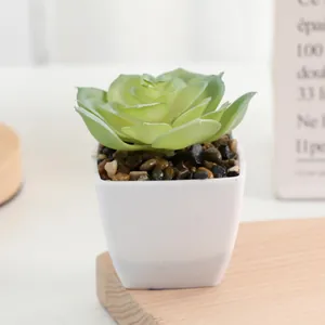 Artificial succulent plant in white square pot fake green plants for home desktop decor.