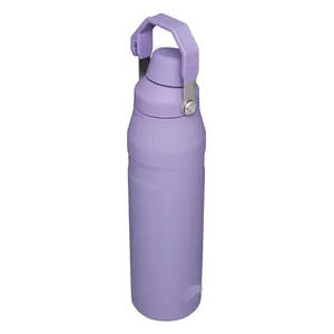 Stainless steel insulated sports water bottle with portable handle, purple thermal flask for travel.