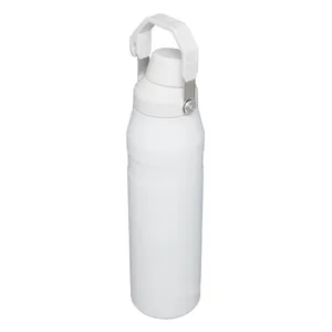 Stainless steel insulated water bottle detail showing the portable handle and spout design.
