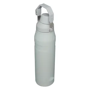 Gray stainless steel insulated sports water bottle with portable folding handle.