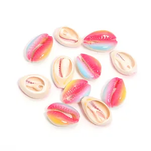 Colorful gradient cowrie shell beads details, DIY jewelry pendant accessories close-up view