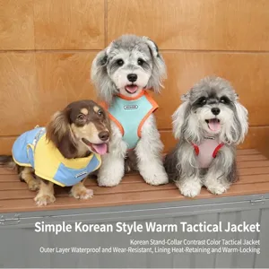 Group of small dogs wearing colorful waterproof and thermal outdoor winter windbreaker jackets