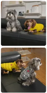 Two dogs wearing yellow and zebra-striped quilted winter vests on a black sofa