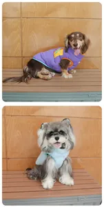 Dettaglio di due cani che indossano gilet invernali trapuntati viola e blu chiaro.