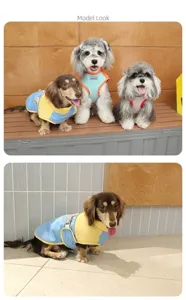 Detail view of small dogs wearing adjustable winter jackets with colorful accents
