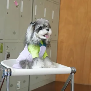 Cute small dog wearing light green thermal shirt and purple suspender pants winter outfit