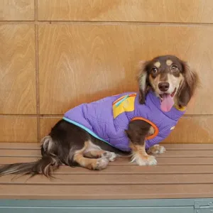 Gilet imbottito viola per cani di piccola taglia con dettagli colorati e calda fodera in pile