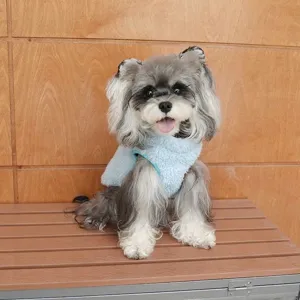 Gilet in pile bifacciale ispessito blu morbido per cani di piccola e media taglia