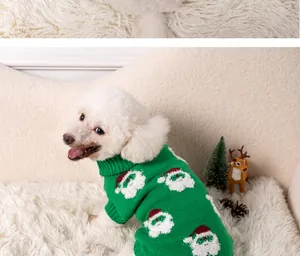 Dettaglio di un barboncino bianco che indossa un maglione natalizio verde sul divano