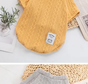 Close-up of diamond-patterned knitted pet sweater with cozy texture and bear tag detail