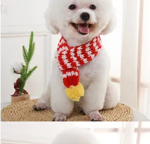 Macro view of a white puppy wearing a red and white striped cozy knitted scarf.