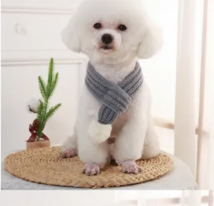 Close-up of a white Bichon Frise dog wearing a cozy gray knitted scarf with pom-pom