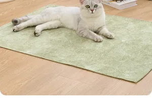 Close-up of a light green patterned pet mat with a cat lying on it for size reference