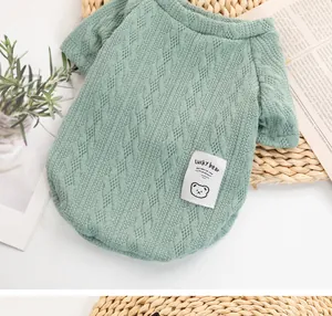 Close-up detail of the knitted texture and cute bear patch on the green dog sweater