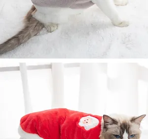 Detailed close-up of cute cats wearing warm red and grey plush winter pet vests