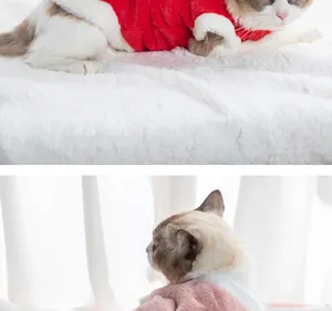 Detail view of cute cats wearing warm plush winter clothes in pink and red colors