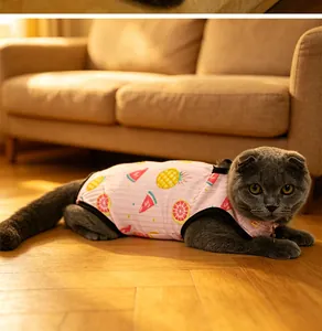 Gatto grigio con tuta rosa per il recupero post-operatorio di animali in un soggiorno caldo