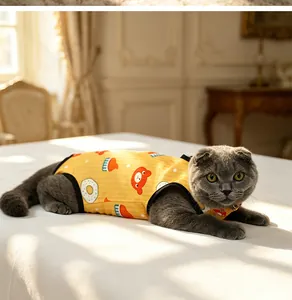 Gatto grigio con tutina di recupero gialla con graziosi orsetti e motivi a ciambella
