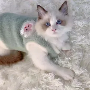 Cute green fleece vest for cats and dogs in winter